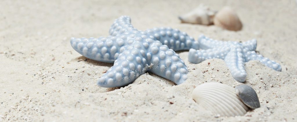 starfish, shellfish, sand-2423999.jpg